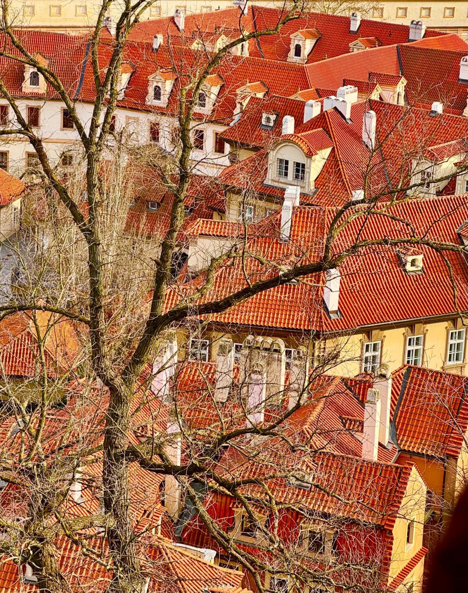 Apartmany Nerudova 36 Prag Exterior foto